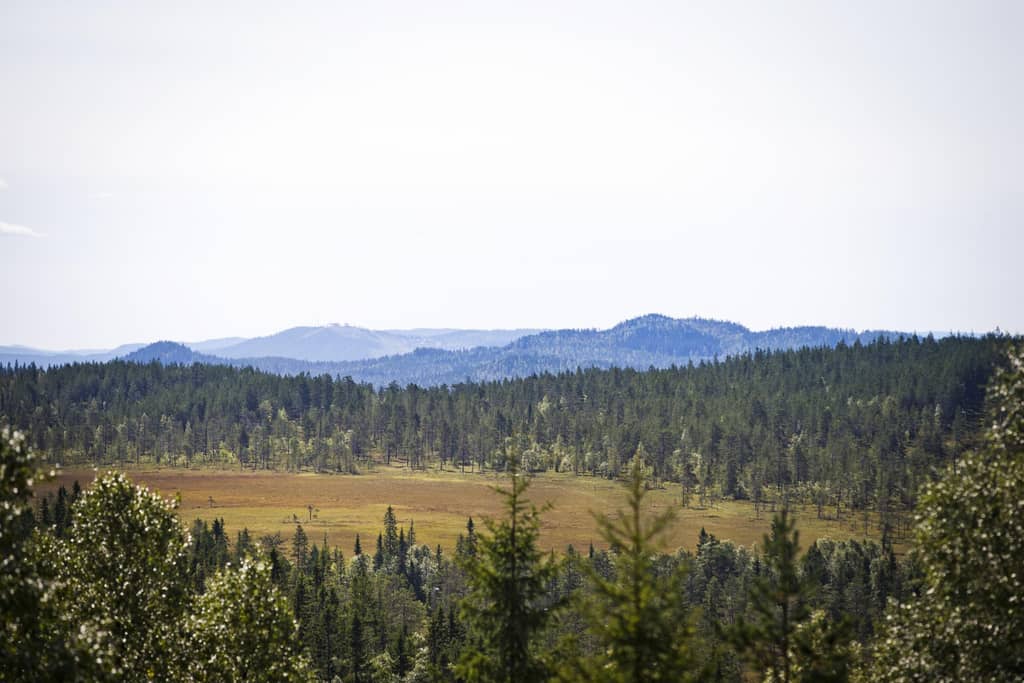 Tien redenen om naar Värmland op vakantie te gaan. | Visit Sweden